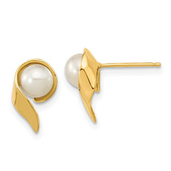 14K Yellow Gold 5-6mm White Button FWC Pearl Post Earrings