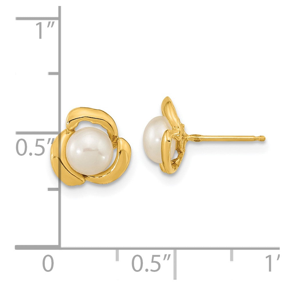 14K Yellow Gold 5-6mm White Button FWC Pearl Post Earrings