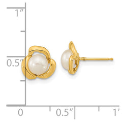 14K Yellow Gold 5-6mm White Button FWC Pearl Post Earrings
