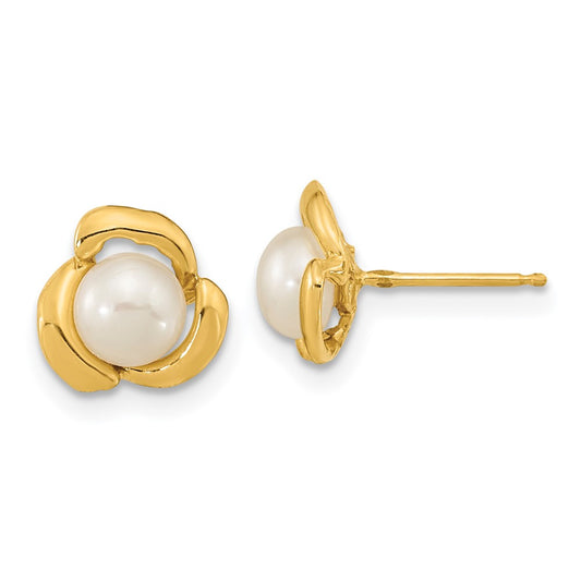 14K Yellow Gold 5-6mm White Button FWC Pearl Post Earrings