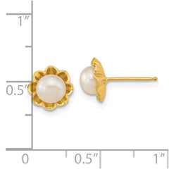 14K Yellow Gold 5-6mm White Button FWC Pearl Post Earrings