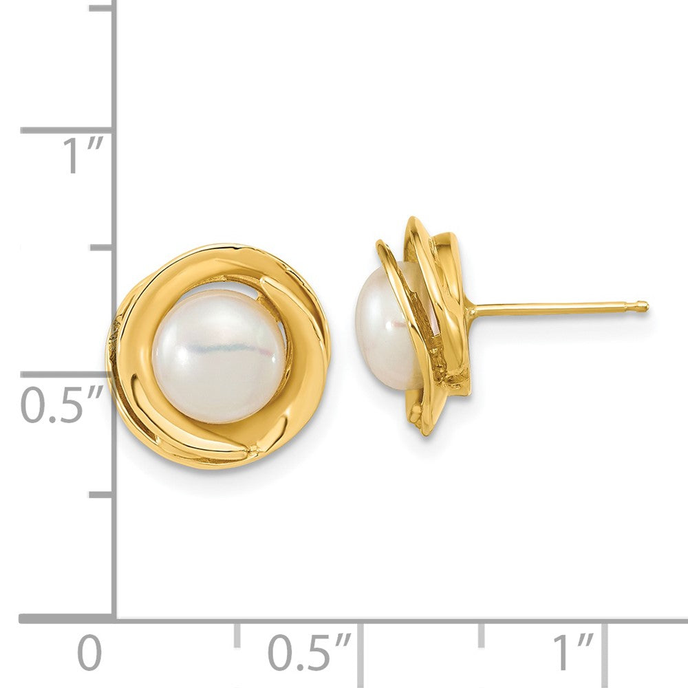 14K Yellow Gold 6-7mm White Button FWC Pearl Post Earrings