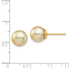 14K Yellow Gold 9-10mm Golden Round Saltwater Cultured South Sea Pearl Post Earrings