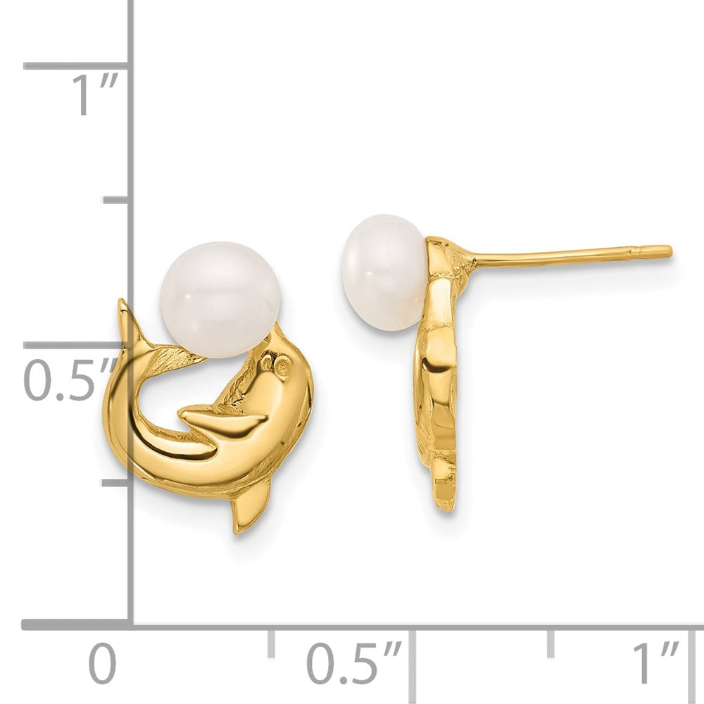14K Yellow Gold 5-6mm Button White FWC Pearl Dolphin Post Earrings