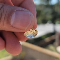 Colgante del Arca de Noé en plata de ley (bañado en rodio o oro amarillo)