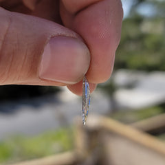 Sterling Silver Sand Dollar Pendant (Rhodium or Yellow Gold-plated)