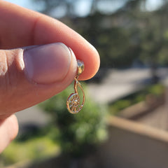 Sterling Silver Nautilis Shell Pendant (Rhodium or Yellow Gold-plated)