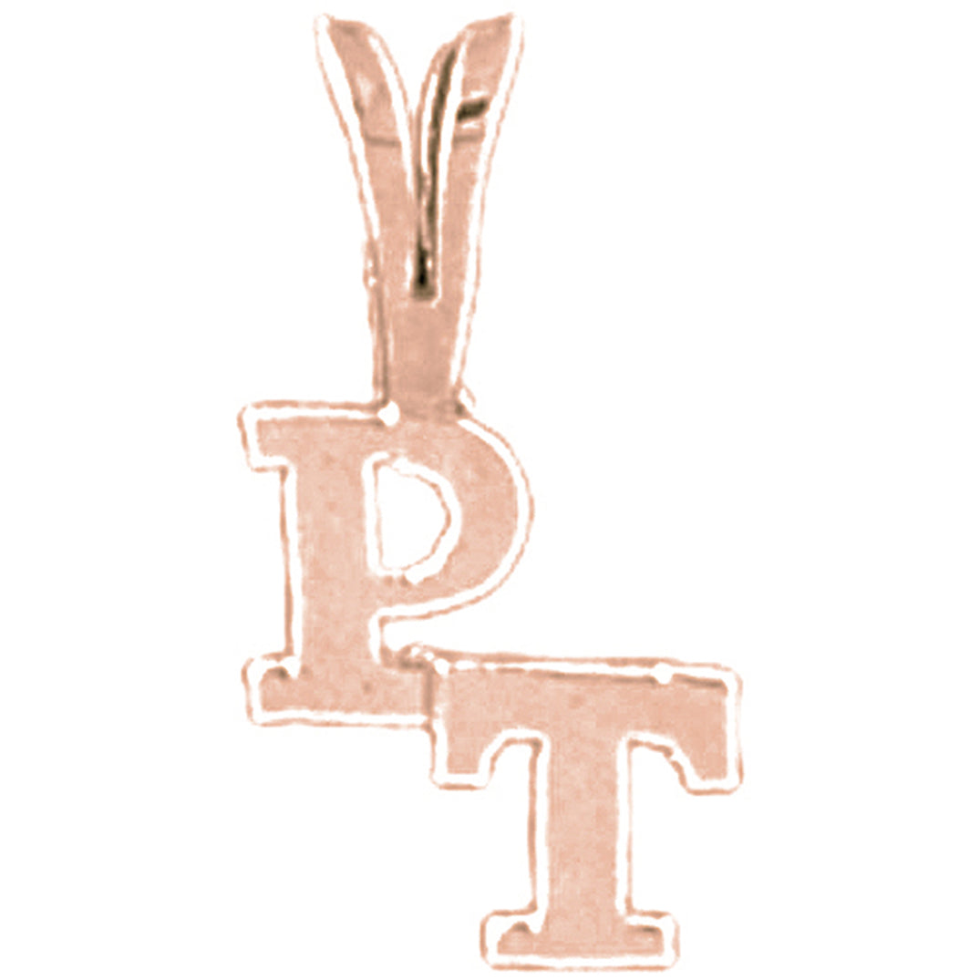 14K or 18K Gold P.T. Physical Therapy Pendant