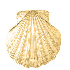 Yellow Gold-plated Silver Shell Pendant