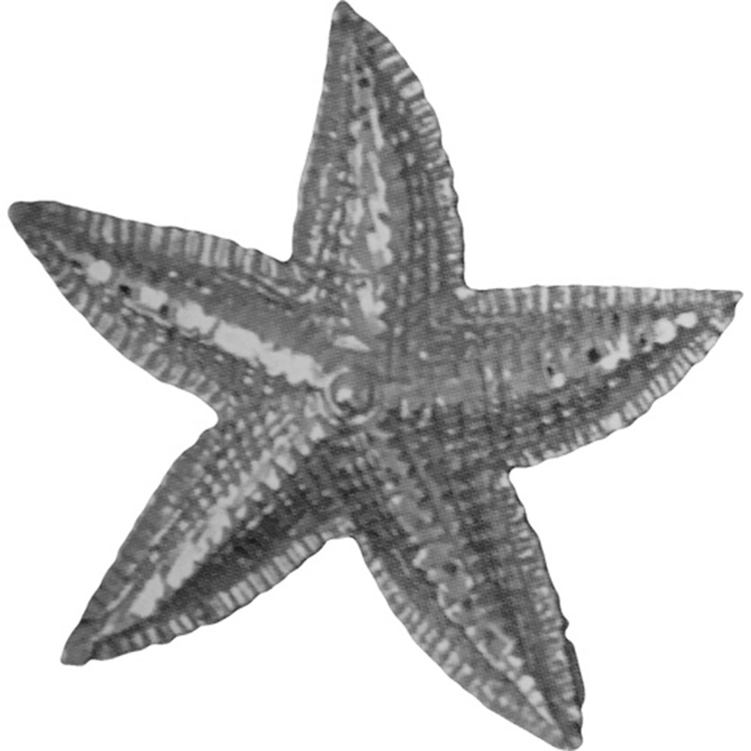 Sterling Silver Starfish Pendant