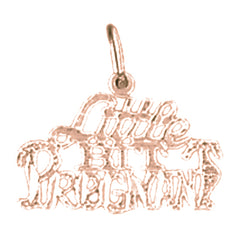 14K or 18K Gold Little Bit Pregnant Saying Pendant