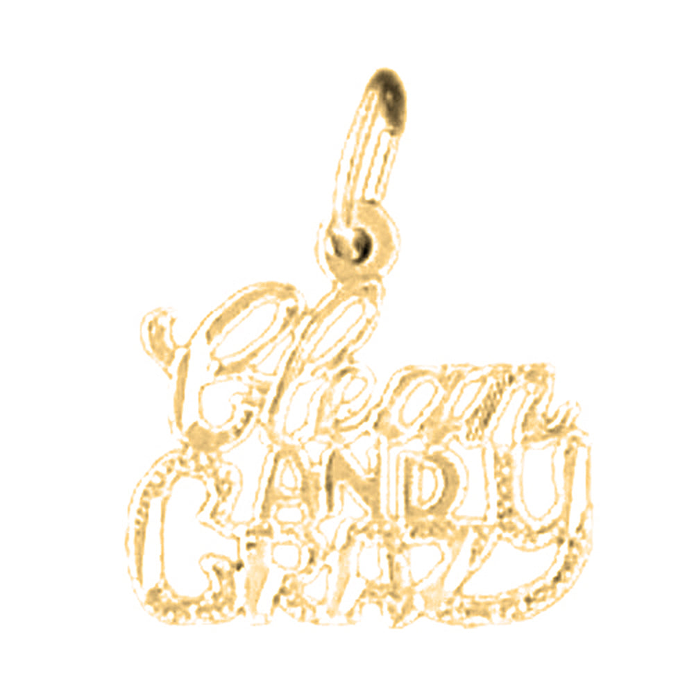 14K or 18K Gold Clean And Crazy Saying Pendant