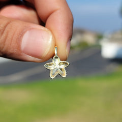 14K or 18K Gold Starfish Pendant