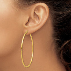 10K Yellow Gold Polished 2mm Tube Hoop Earrings