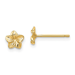 10K Yellow Gold Plumeria Flower Post Earrings