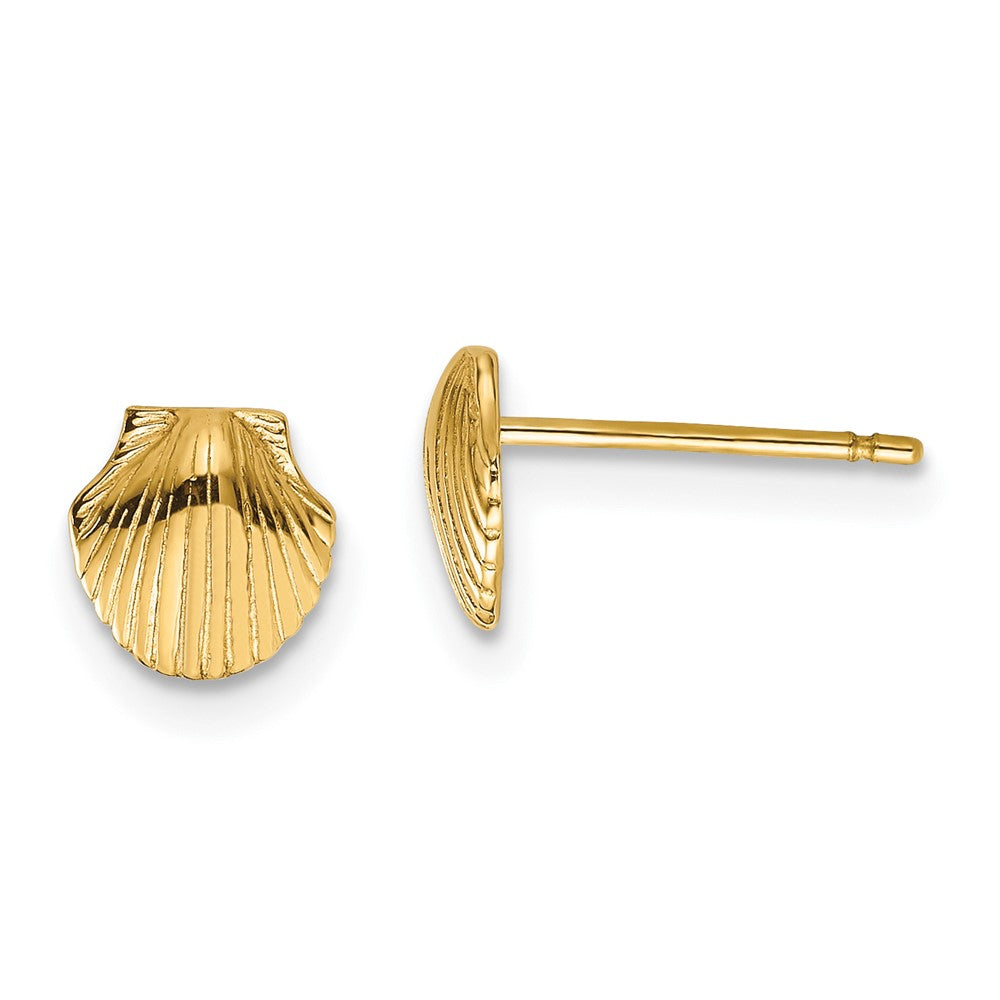 10K Yellow Gold Mini Scallop Shell Post Earrings