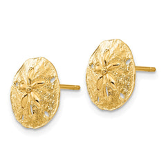 10K Yellow Gold Sand Dollar Post Earrings