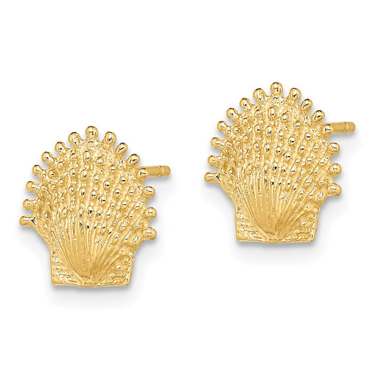10K Yellow Gold Beaded Scallop Shell Post Earrings