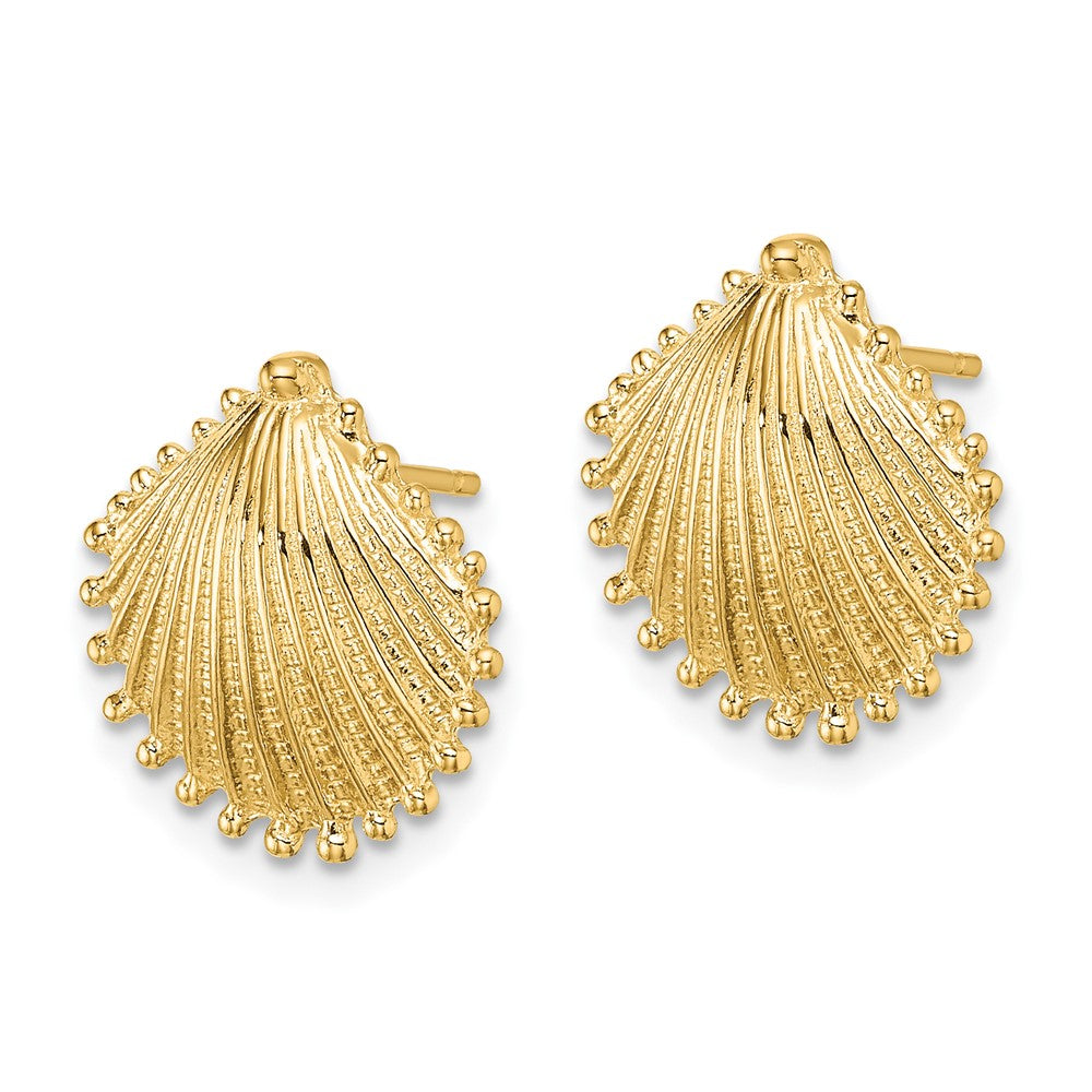 10K Yellow Gold Scallop Shell Post Earrings