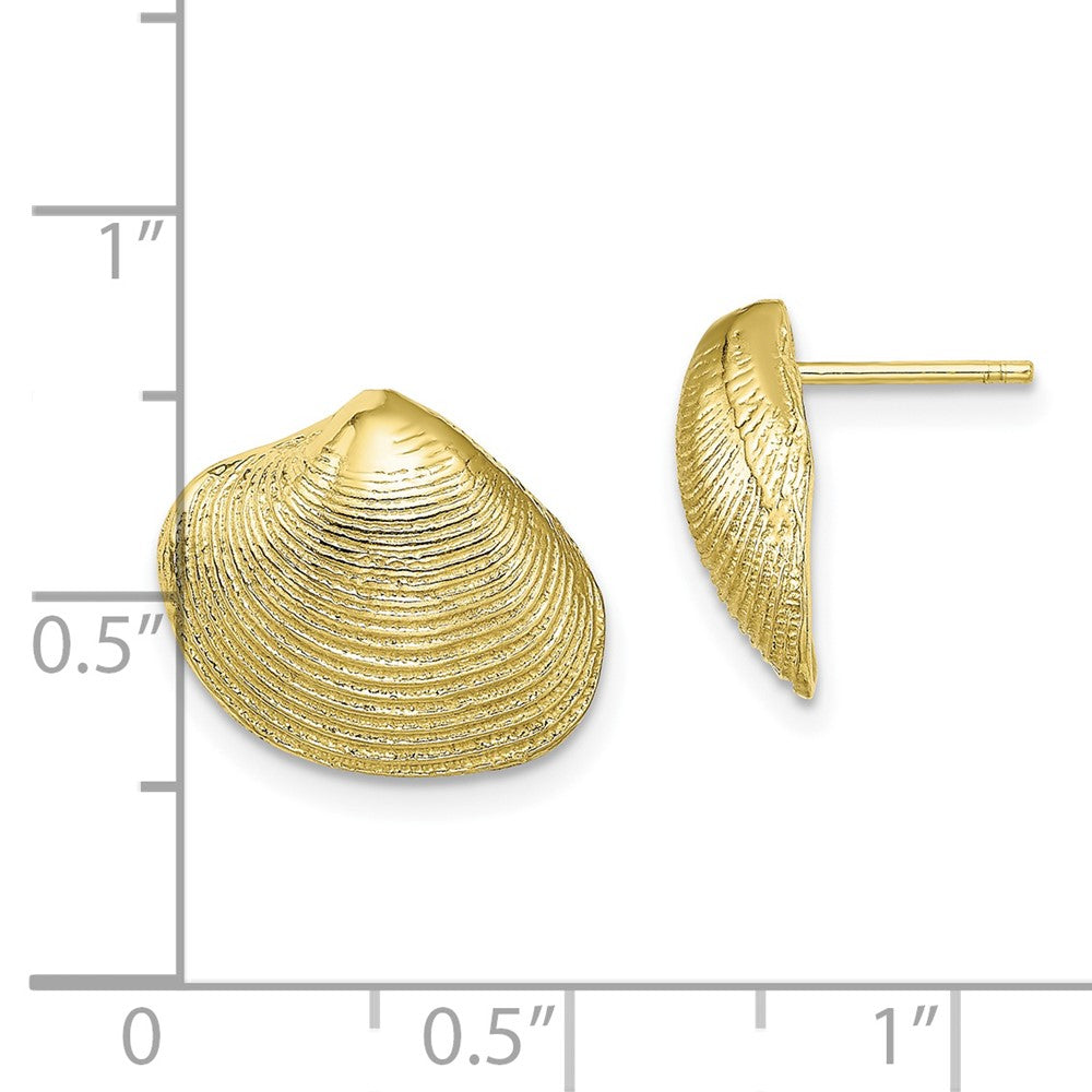 10K Yellow Gold Clam Shell Post Earrings
