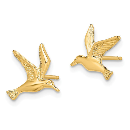 10K Yellow Gold Polished Seagull Post Earrings