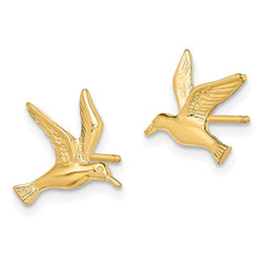 10K Yellow Gold Polished Seagull Post Earrings