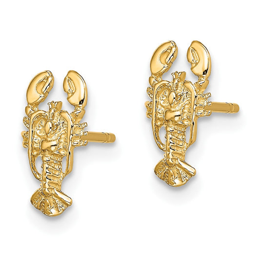 10K Yellow Gold 2D Lobster Post Earrings