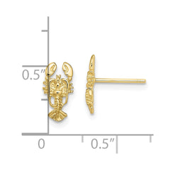 10K Yellow Gold 2D Lobster Post Earrings