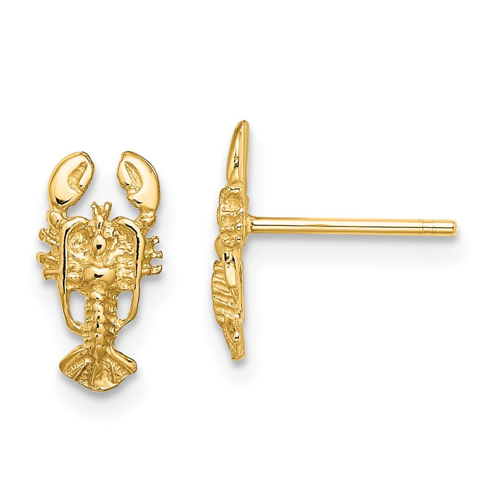 10K Yellow Gold 2D Lobster Post Earrings