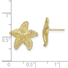 10K Yellow Gold Textured Beaded Starfish Post Earrings
