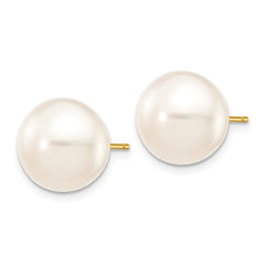 10K Yellow Gold 11-12mm White Button FWC Pearl Stud Post Earrings