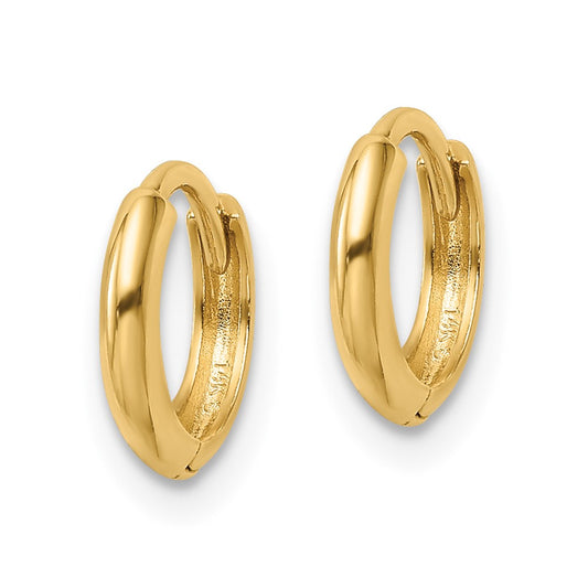 10K Yellow Gold Polished Hinged Hoop Earrings