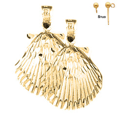 14K or 18K Gold Sea Shell Earrings