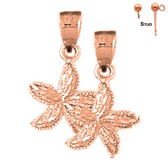 Pendientes Estrella de Mar de Oro de 14K o 18K de 22mm