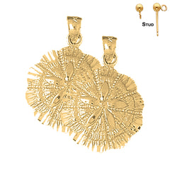 14K or 18K Gold Sand Dollar Earrings