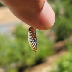 10K, 14K or 18K Gold Shell Pendant