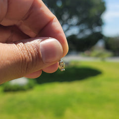 14K or 18K Gold Bison Pendant