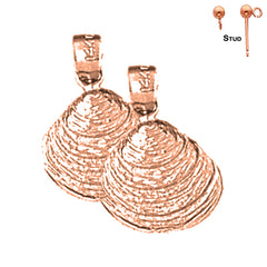 14K or 18K Gold Shell Earrings