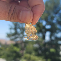 10K, 14K or 18K Gold Raccoon Pendant