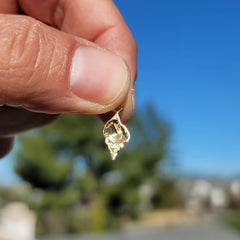 14K or 18K Gold Conch Shell Pendant