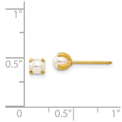 Inverness 24K Gold-plated 4mm Simulated Pearl Earrings