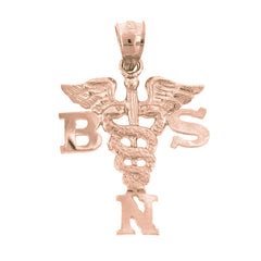 14K or 18K Gold B.S.N. Bachelors Of Science Nursing Pendant