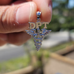 14K or 18K Gold D.P.T. Doctor Of Physical Therapy Pendant