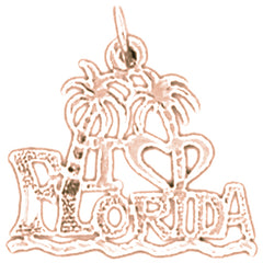 14K or 18K Gold Florida Pendant