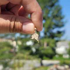 14K or 18K Gold Alaska State Pendant