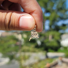 14K or 18K Gold Alaska State Pendant