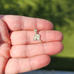 14K or 18K Gold Alaska State Pendant