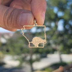 Colgante del estado de Arkansas de oro de 14 quilates o 18 quilates