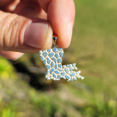 10K, 14K or 18K Gold Louisiana State Pendant