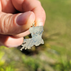 10K, 14K or 18K Gold Louisiana State Pendant